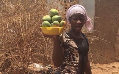 Mango Value Chain in Mali