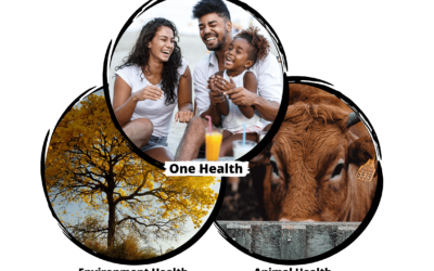 One Health – Healthy people, animals and environment
