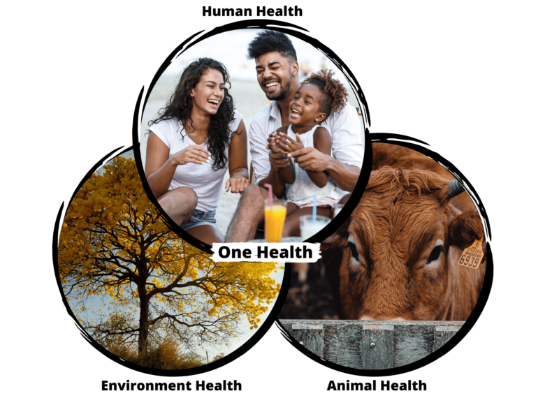 One-Health-We-Empower